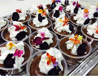 sailing charter catering sailing charter catering